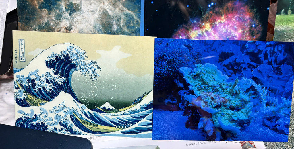 6x8 Aluminum Print