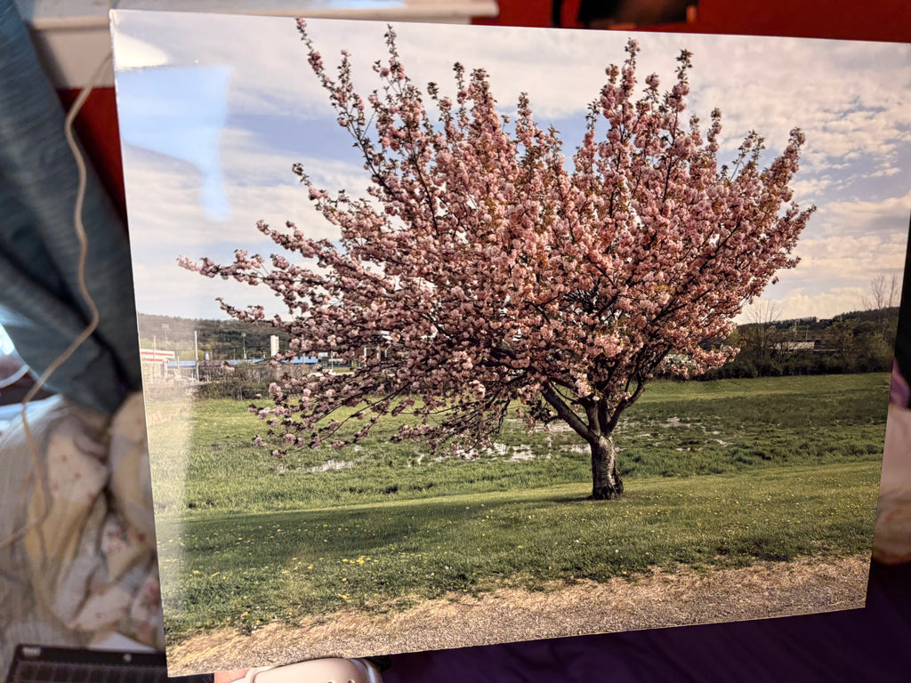 6x8 Aluminum Print