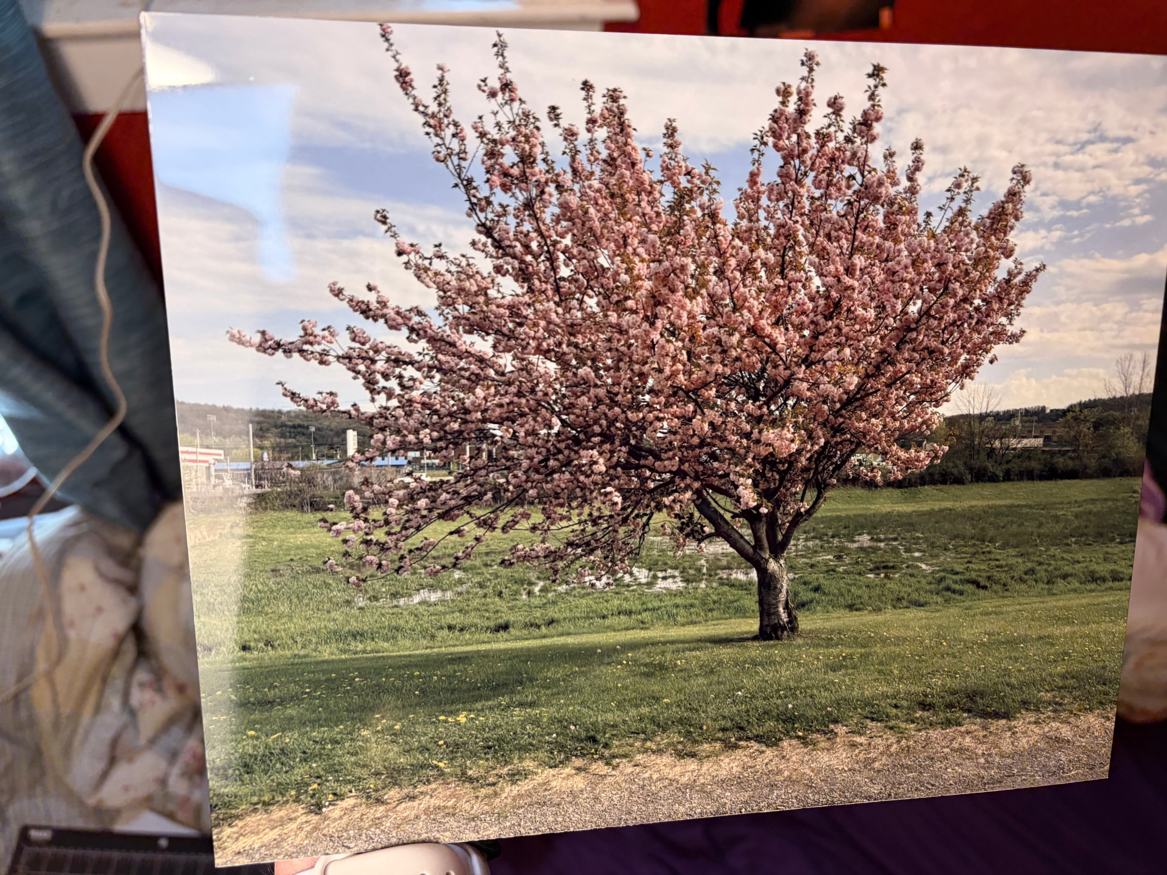 6x8 Aluminum Print
