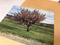 6x8 Aluminum Print