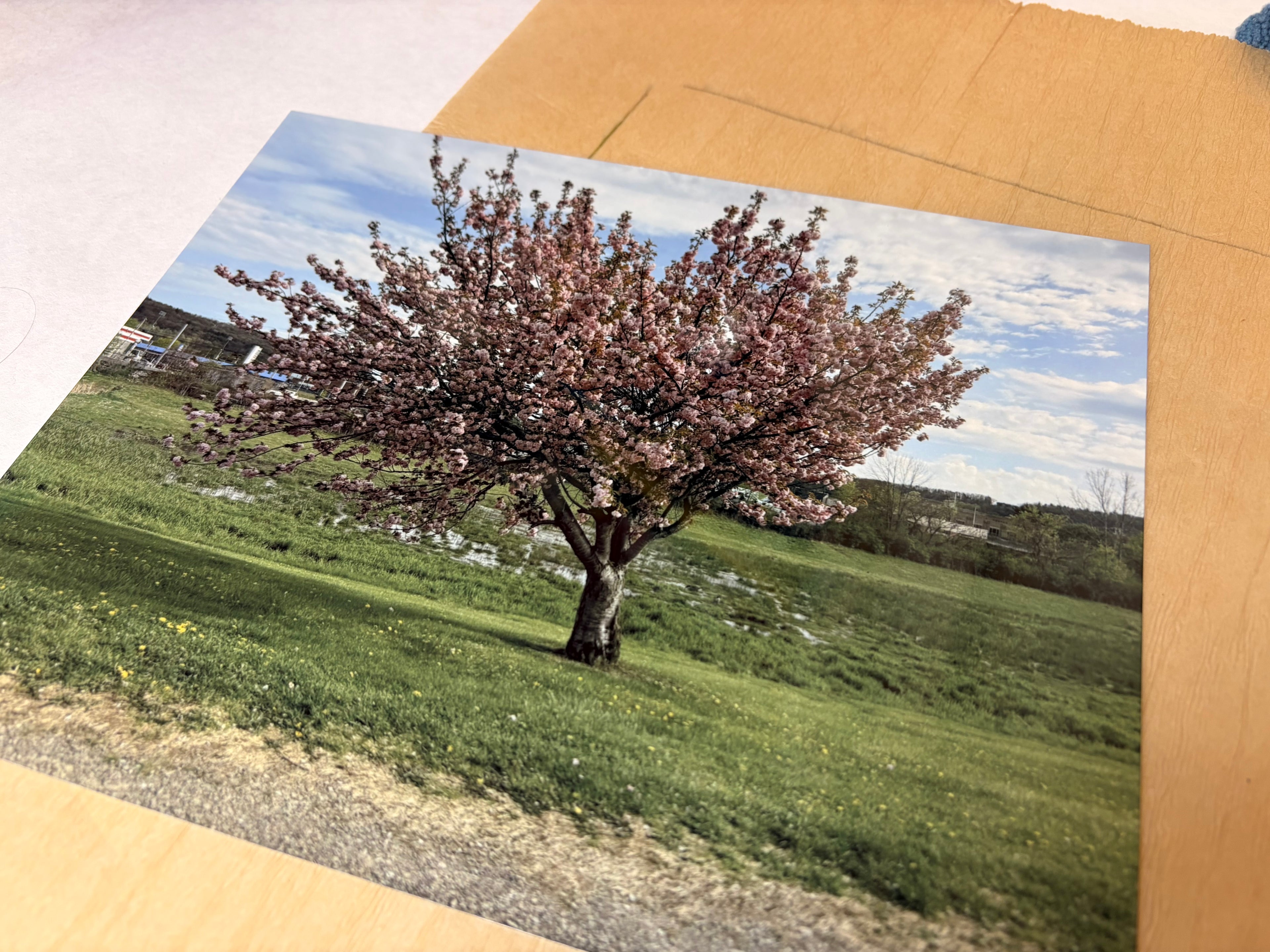 6x8 Aluminum Print